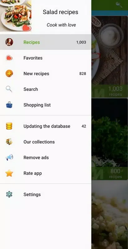 Salad recipes Screenshots
