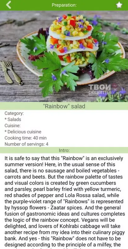 Salad recipes Screenshots