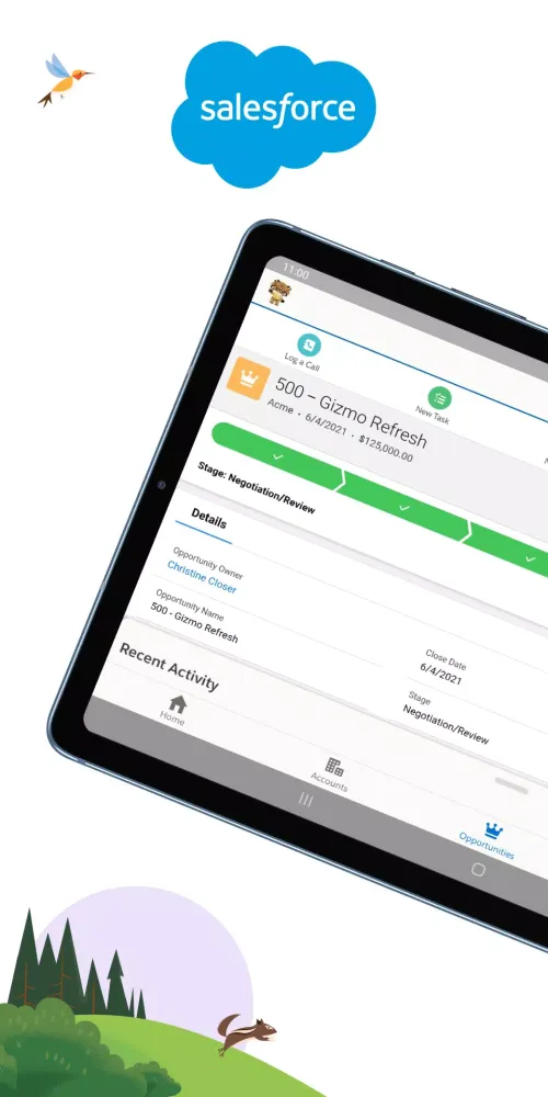 Salesforce Screenshots