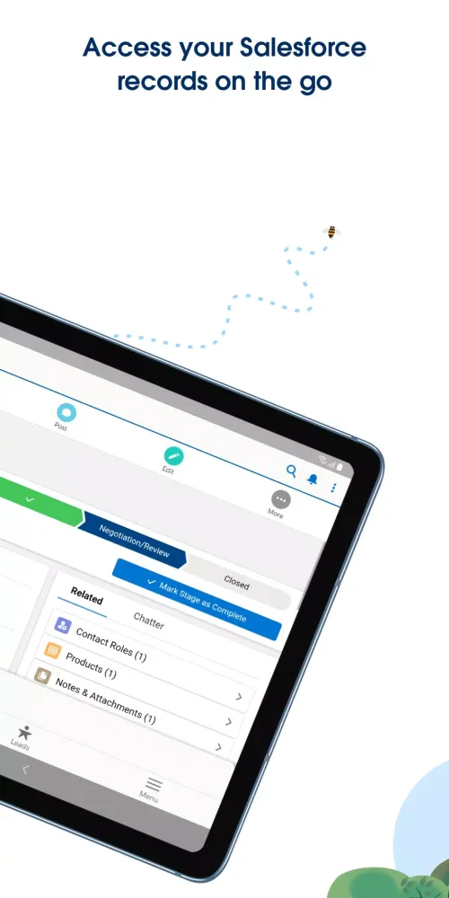 Salesforce Screenshots