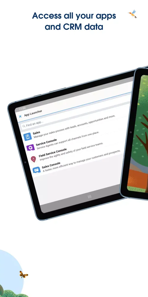 Salesforce Screenshots