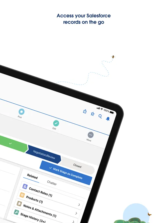 Salesforce iPad  Ekran Görüntüleri