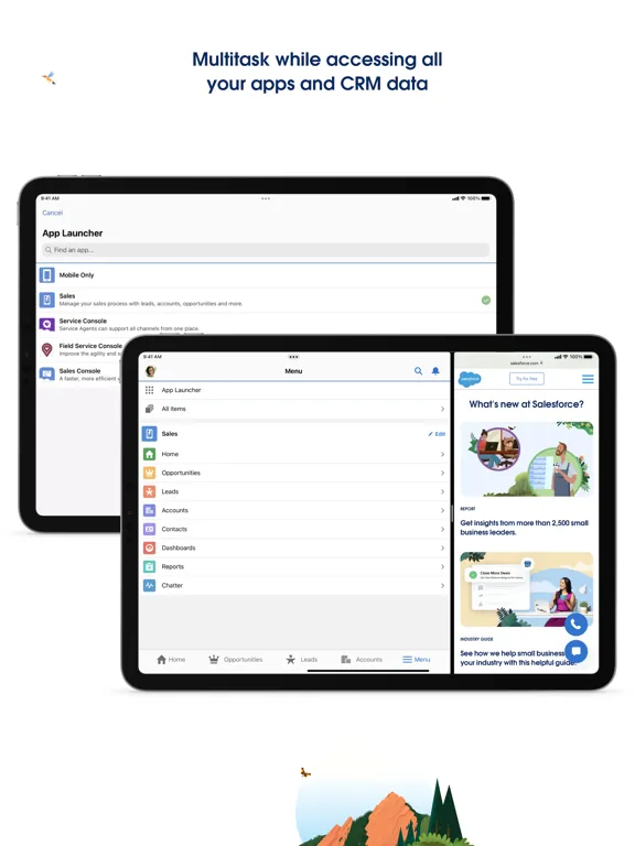 Salesforce iPad  Ekran Görüntüleri