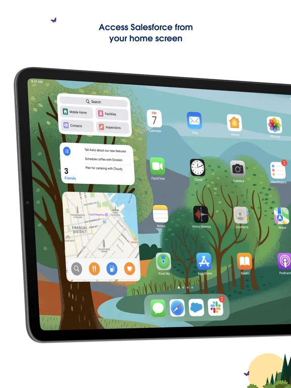 Salesforce iPad  Ekran Görüntüleri