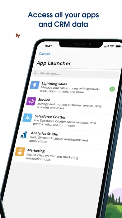 Salesforce Ekran Görüntüleri