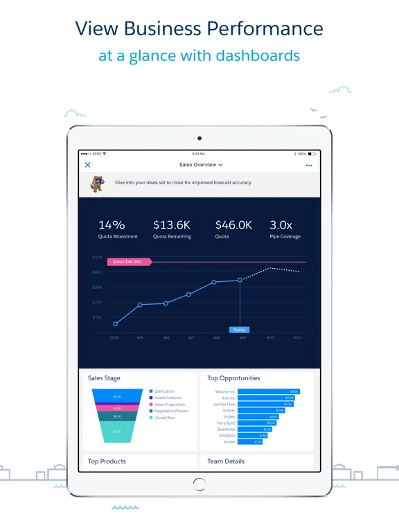 Capturas de tela do CRM Analytics iPad 