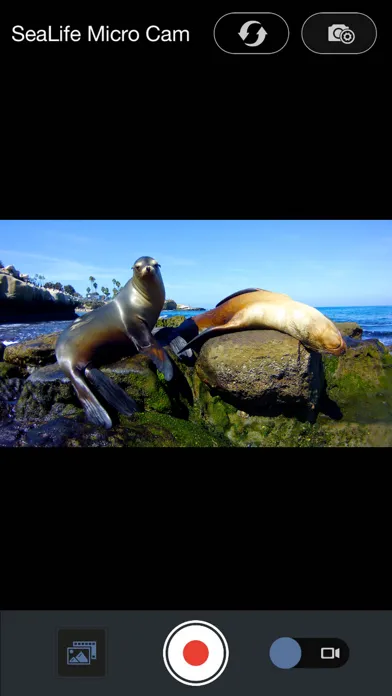 SeaLife Micro Cam スクリーンショット