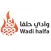وادي حلفا WADI HALFA