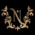 Dar Nijood