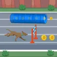 Marathon Race Scooby