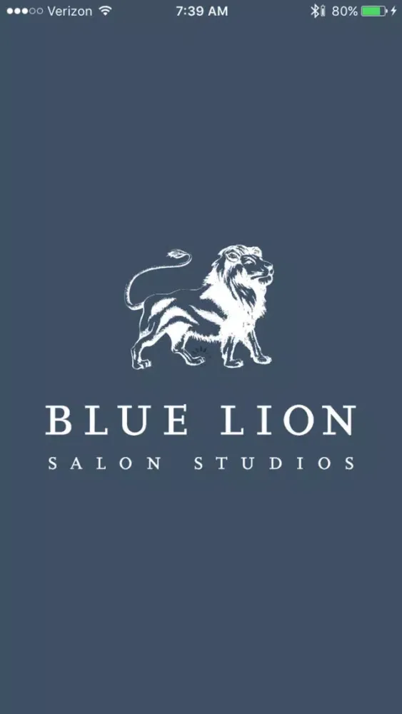 Blue Lion Salon Studios Screenshots
