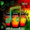 SALSA BRAVA RADIO