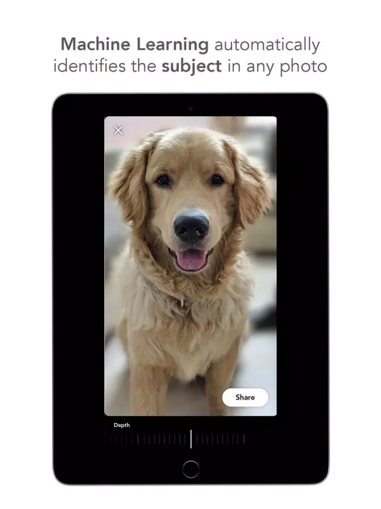 DepthBlur - Blur with AI iPad 应用截图