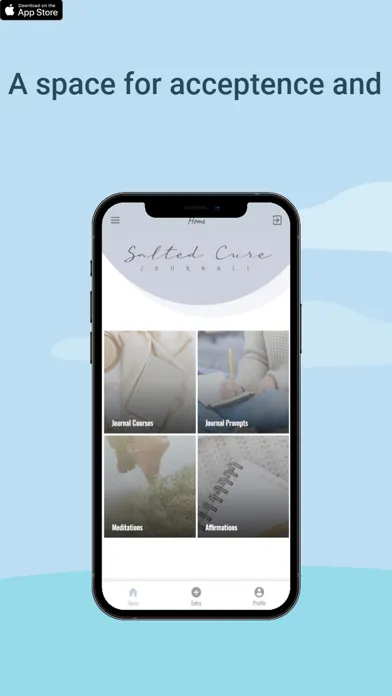 Ảnh chụp màn hình của Salted Cure Journals