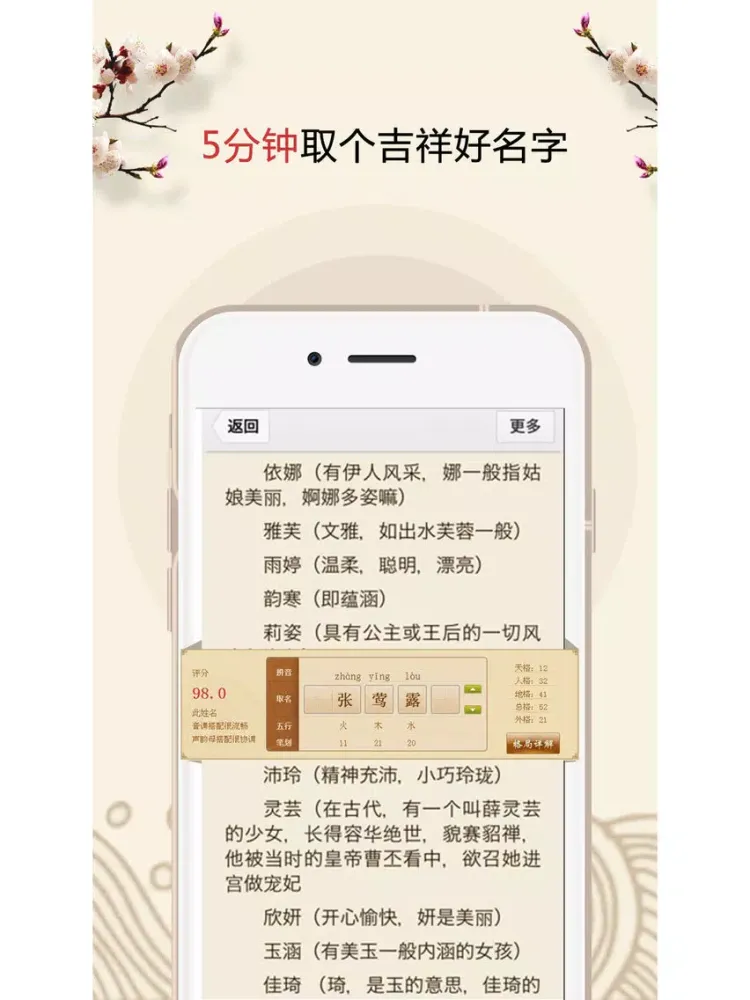 起名解名专业版-宝宝周易命理取名好帮手 iPad  স্ক্রিনশট