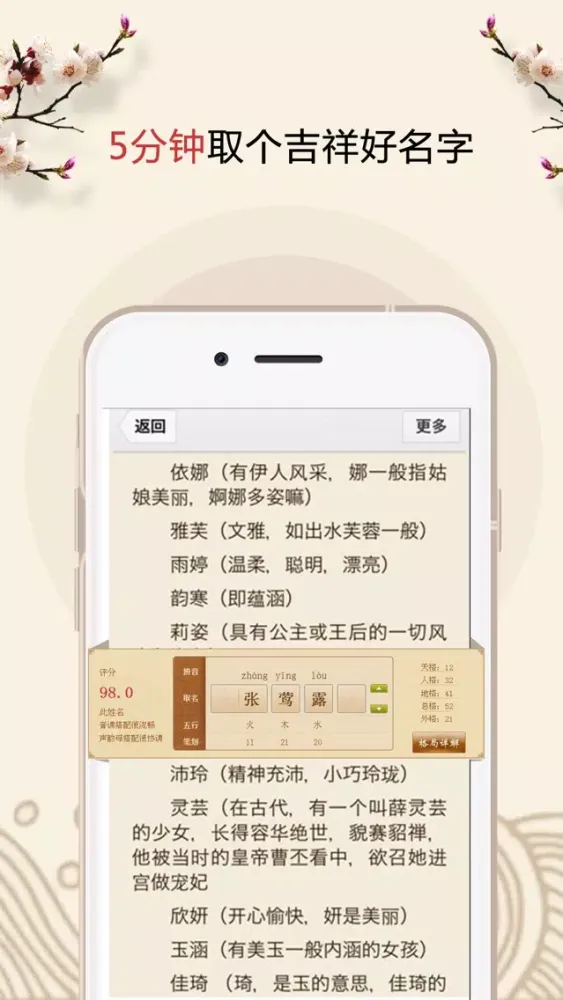 起名解名专业版-宝宝周易命理取名好帮手 স্ক্রিনশট