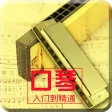 口琴达人-口琴吹奏技法快速入门