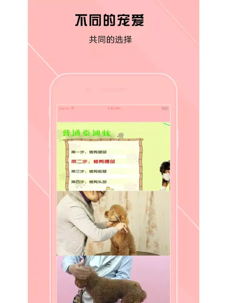 泰迪犬美容大全-爱犬人士必备 iPad  Ekran Görüntüleri