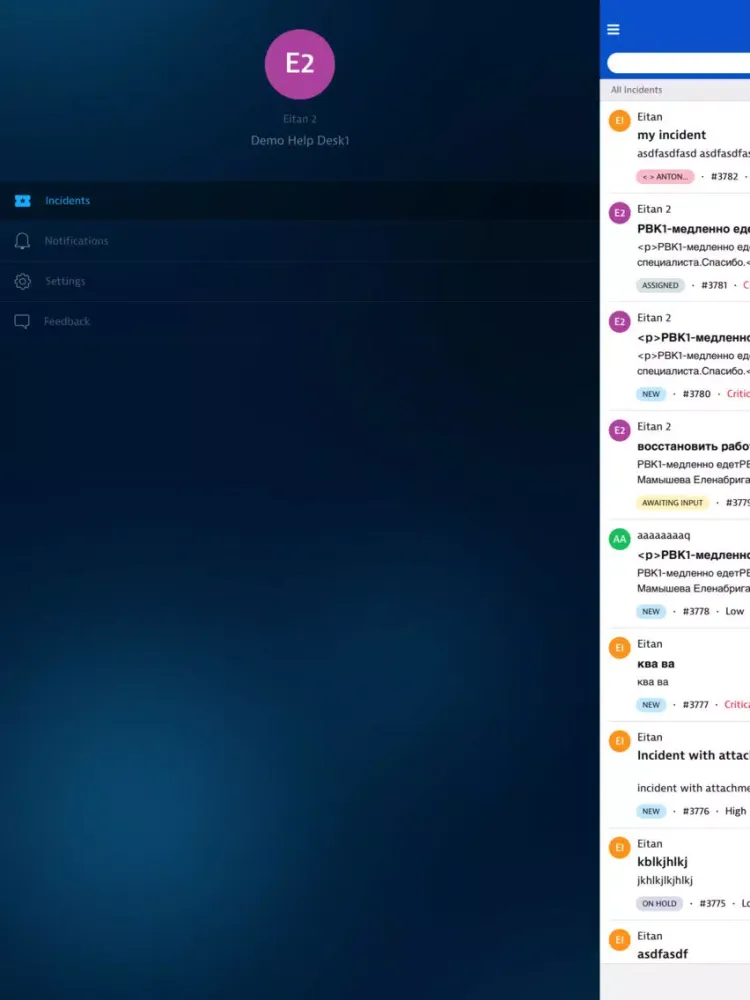 Samanage iPad 应用截图