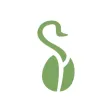 Samara Buy Local Samara Buy Local