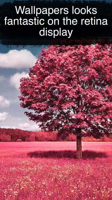 Wallpapers HD for iPhone 6s/6/5s - Photo, Images & Backgrounds Free Ekran Görüntüleri