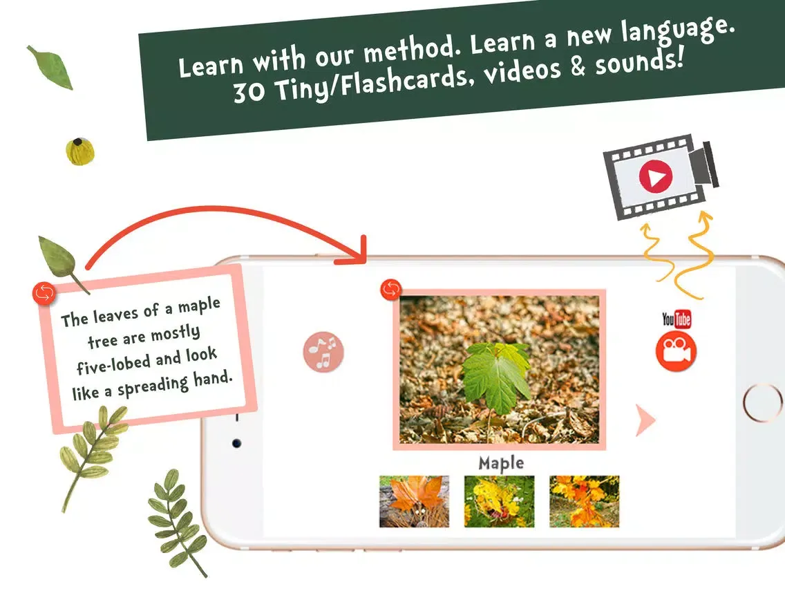 Capturas de pantalla de Sami Tiny FlashCards forest adventures kids apps iPad 