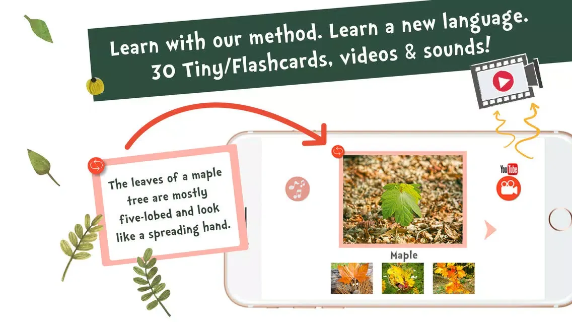 Capturas de pantalla de Sami Tiny FlashCards forest adventures kids apps