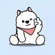 Clingy Samo dogs in Denmark Clingy Samo dogs in Denmark