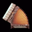 Accordion For Beginners Accordion For Beginners