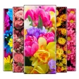 Flower Wallpaper