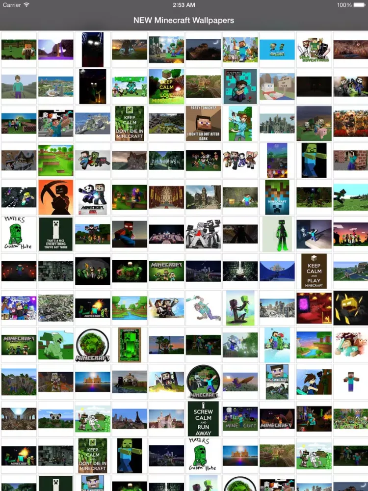 Ảnh chụp màn hình của NEW Wallpapers for Minecraft Edition - Backgrounds & Mini Mine Forum iPad 