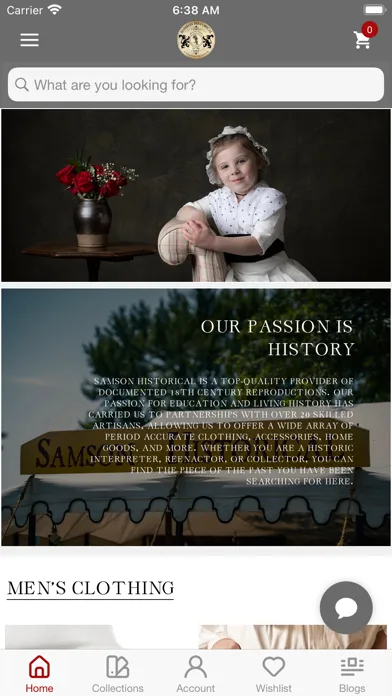 صور Samson Historical