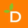 Dhoni Vegetables & Fruits Dhoni Vegetables & Fruits
