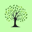Green Village Cafe