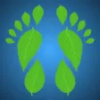 Green Trakr
