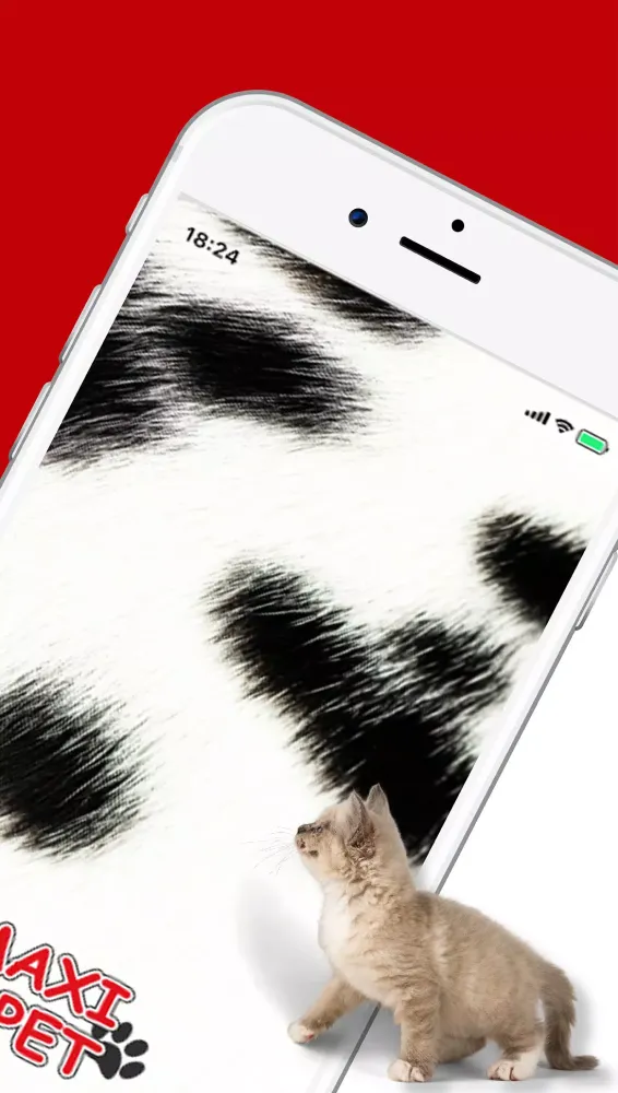 Maxi Pet Ekran Görüntüleri