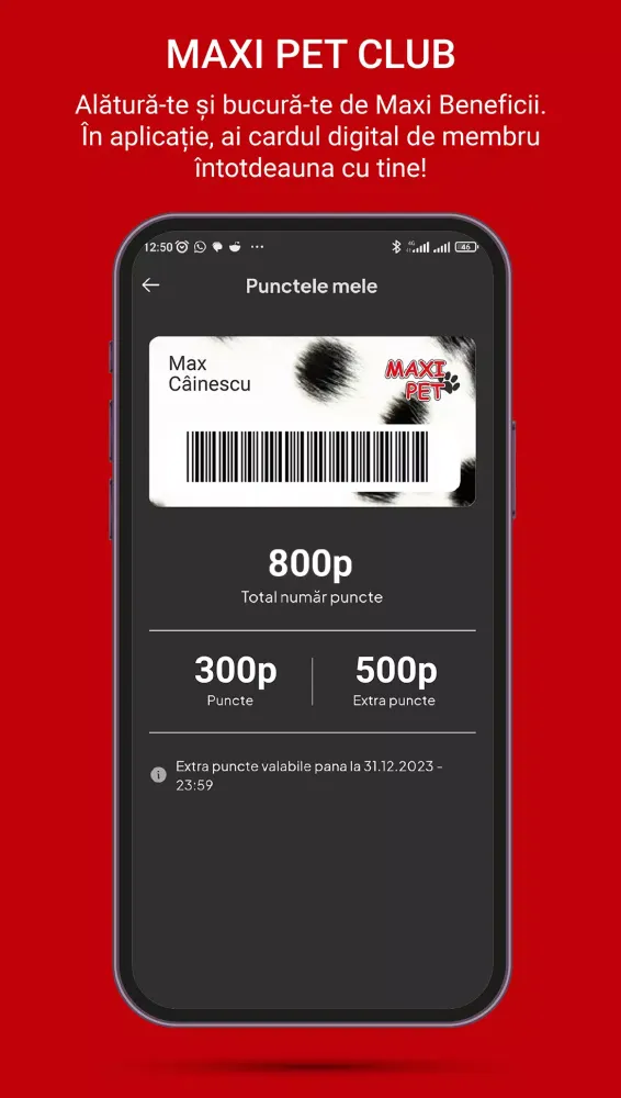 Maxi Pet Ekran Görüntüleri