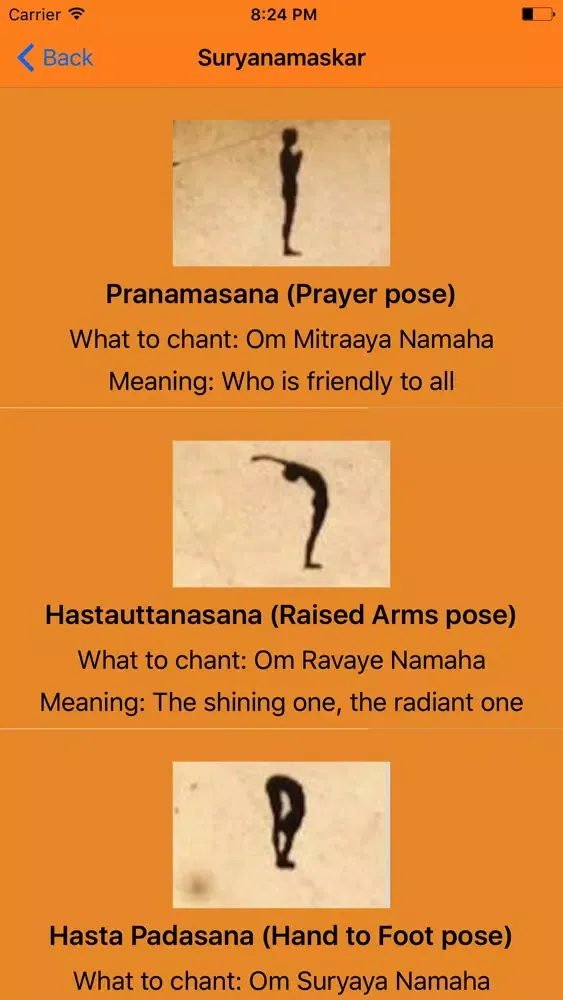 Rashtriya Swayamsevak Sangh স্ক্রিনশট