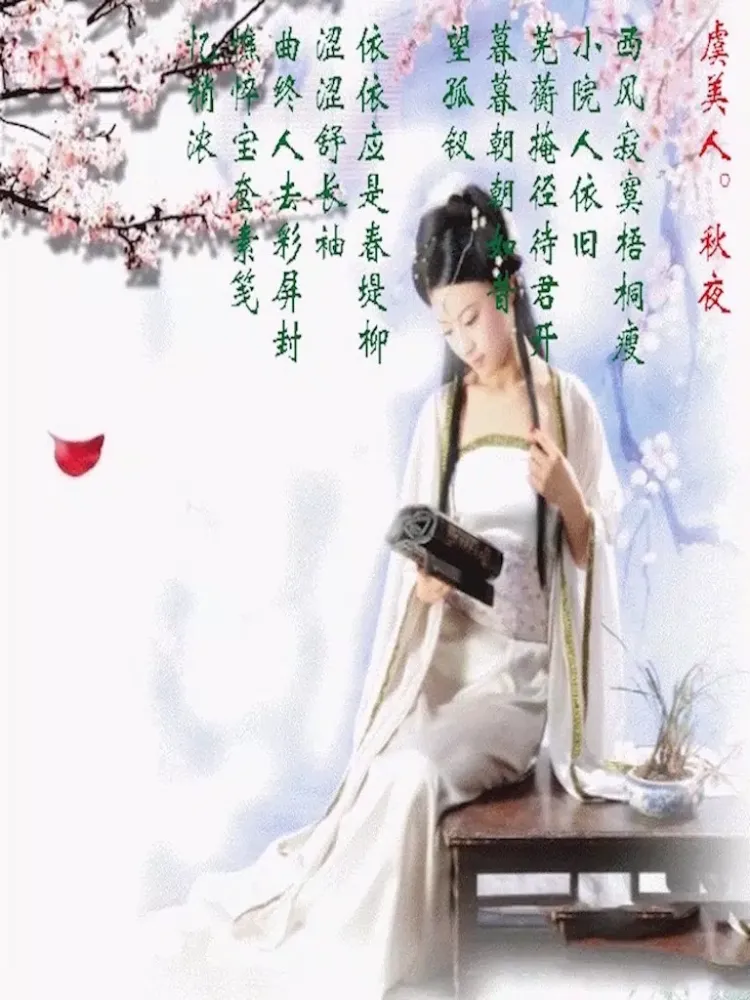 Captures d'écran de 诗词歌赋-唐诗宋词元曲 iPad 