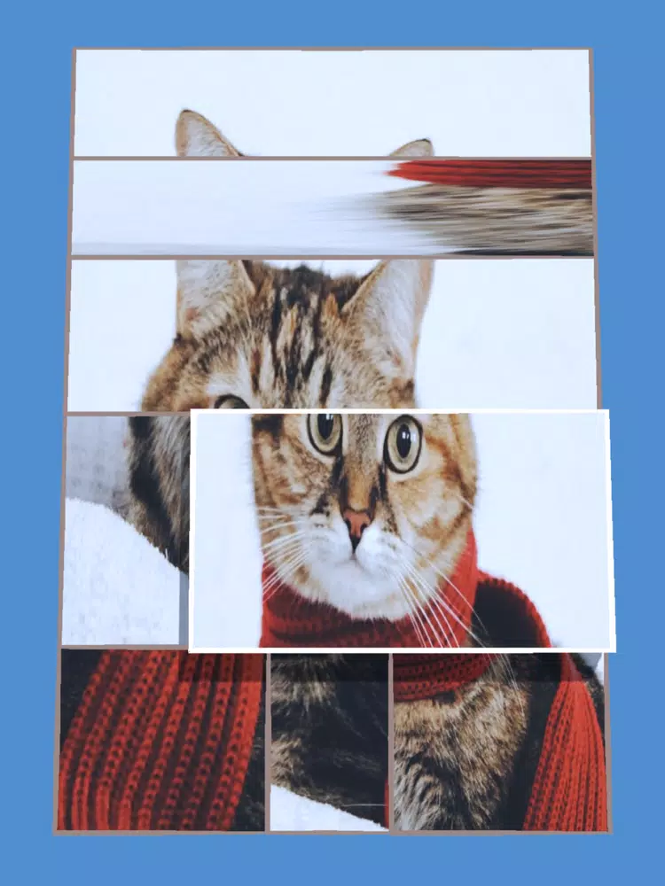 صور Scale Puzzle!! iPad 