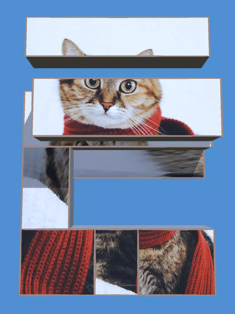 صور Scale Puzzle!! iPad 