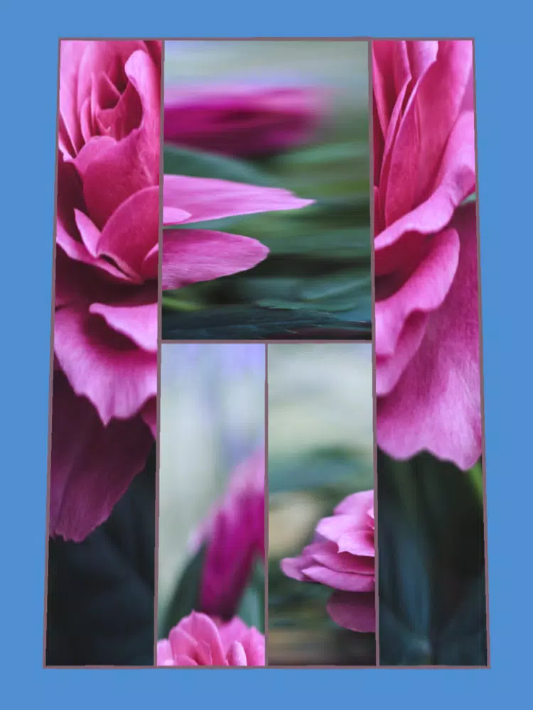 صور Scale Puzzle!! iPad 