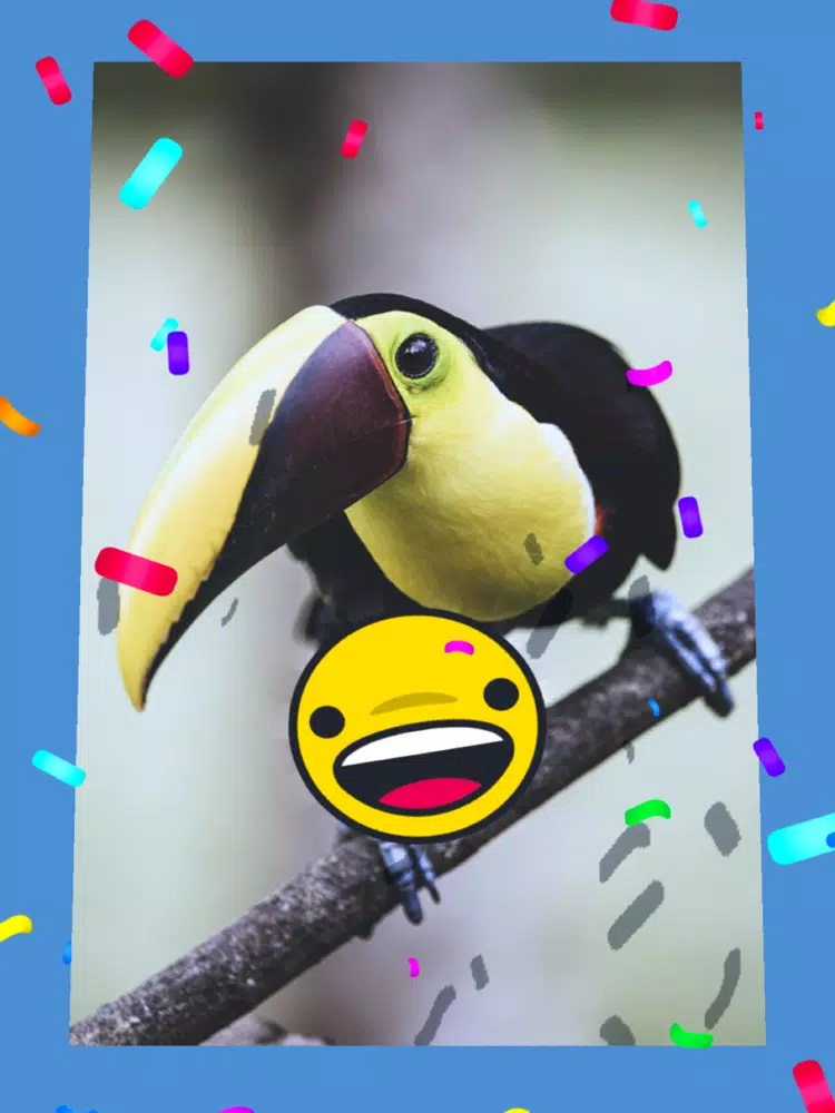 صور Scale Puzzle!! iPad 