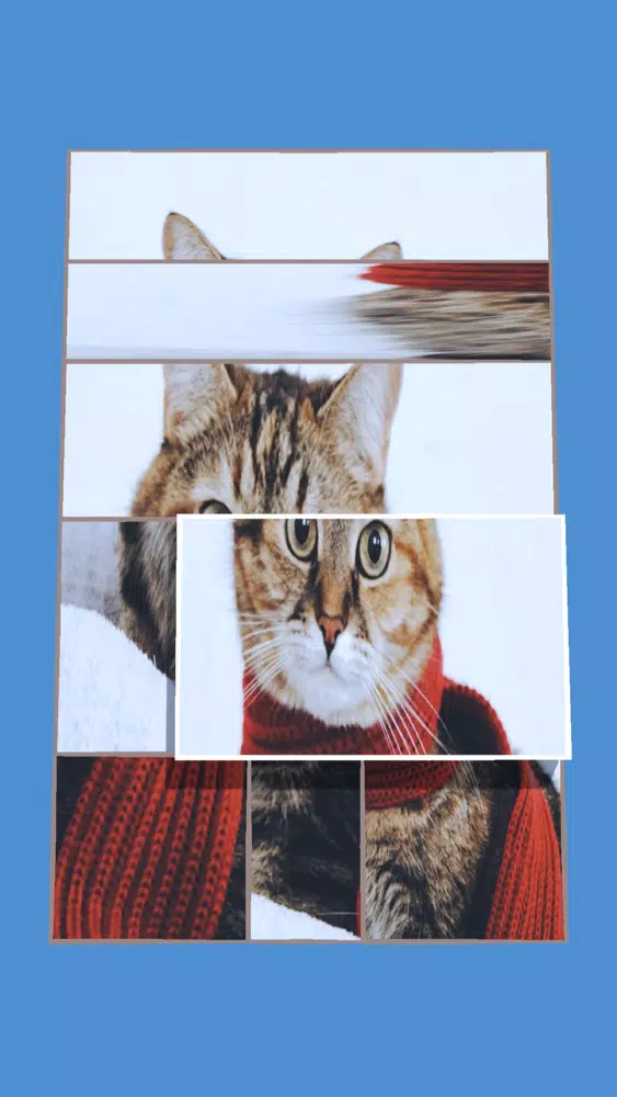 صور Scale Puzzle!!