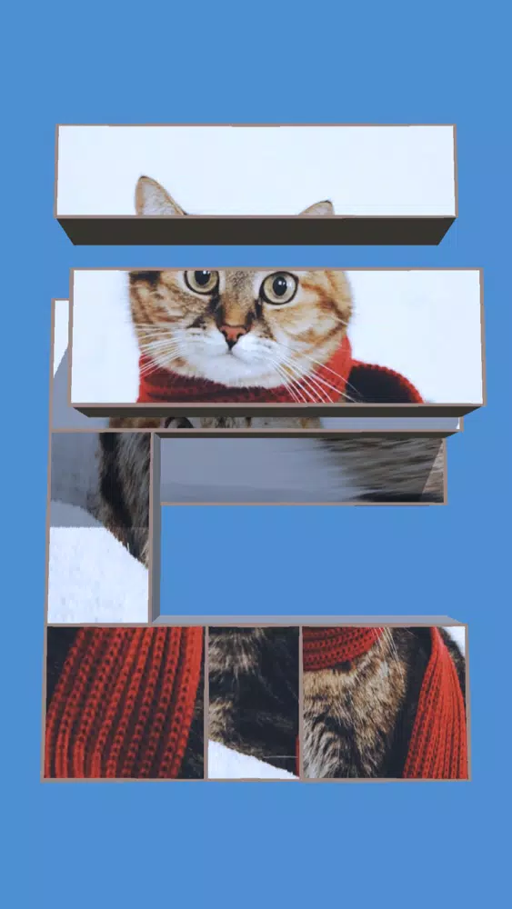صور Scale Puzzle!!