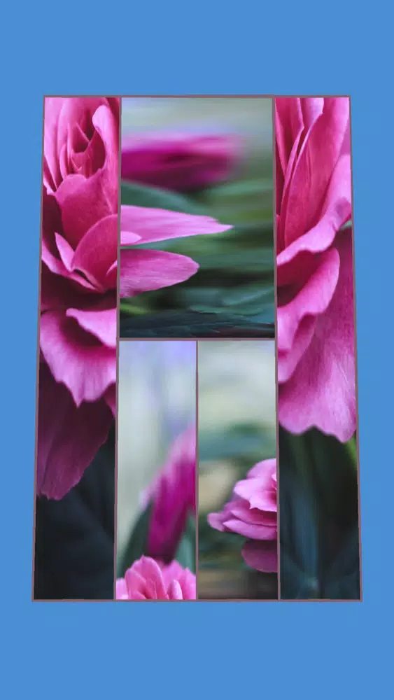 صور Scale Puzzle!!