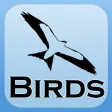 2000 Bird Species with Guides