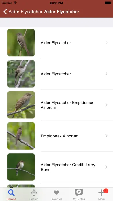 2000 Bird Species with Guides Screenshots