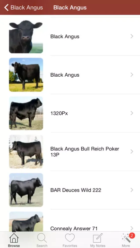 صور 1500 Cattle Dictionary Breeds