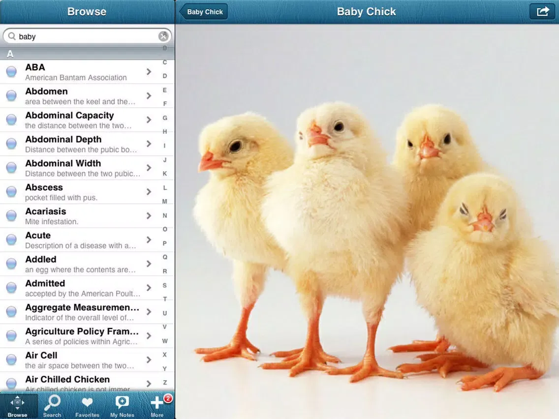1,001 Chicken Guide iPad 應用截圖